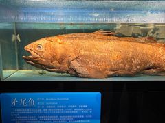 -国家自然博物馆