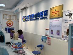 -北京观赏动物医院·24小时大型综合·猫专科·异宠专科
