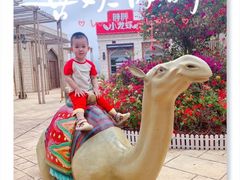 -三亚海昌梦幻海洋不夜城