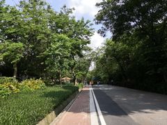 -广州市白云山风景名胜区