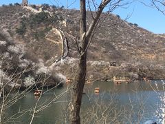 -辛玛王国游乐园