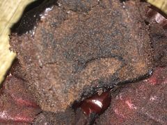 -百年义利(甜水园东里店)