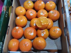 -上海龙吴水胜海发市场