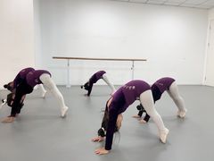 -西安小天鹅艺术团(金花路校区)