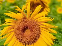 -廊坊文化艺术中心