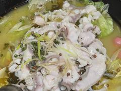 -金三可市井水煮鱼(金碧园店)