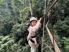 -西双版纳原始森林公园