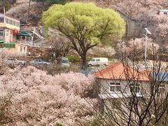 -崂山九水游览区