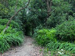 -上海海湾国家森林公园