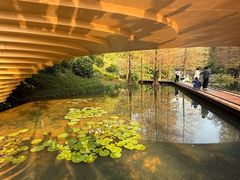-云溪植物园