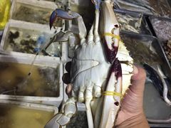 -那香海钻石沙滩浴场