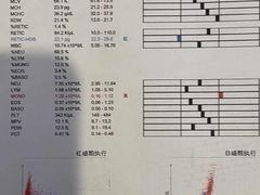 -艾贝尔宠物医院·24H转诊中心·肿瘤猫专科(江宁双龙店)