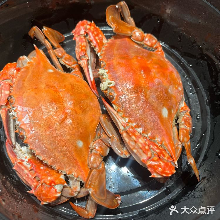 我私藏的聚餐根据地|天和坊龙虾小海鲜