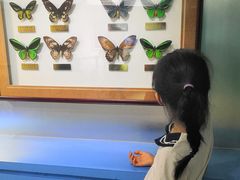 -上海昆虫博物馆