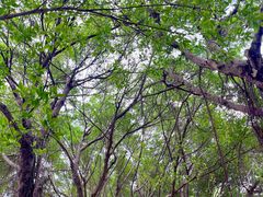 -南宁市凤岭儿童公园