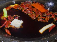 -红九格老火锅(三峡广场店)