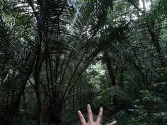 -七仙岭温泉国家森林公园