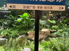 -凯德广场(学府店)