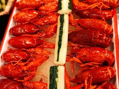 -不炭白烧烤(成都首店)