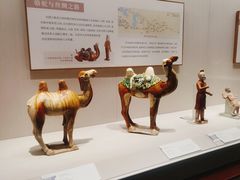 -深圳博物馆(古代艺术馆)