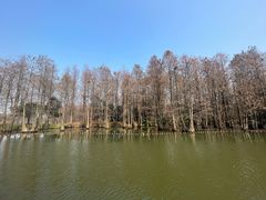-尚湖风景区