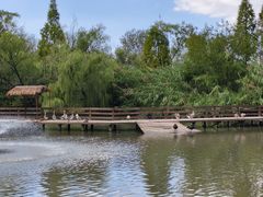 -溱湖国家湿地公园