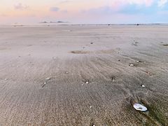 -台山黑沙湾海浴场