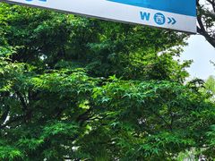 -浙江省博物馆(孤山馆区)