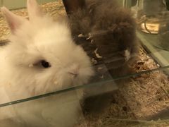 -龙猫仔乐园(惠福东路店)