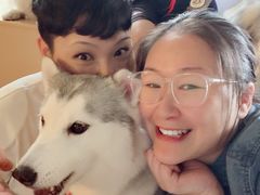 -Husky Go! 哈士奇体验馆·宠物咖啡厅狗咖