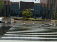 -杭州湾海上花田景区