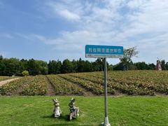 -同里国家湿地公园