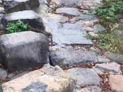 -鹿亭中村