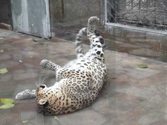 -西安秦岭野生动物园