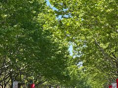 -东华大学(松江校区)
