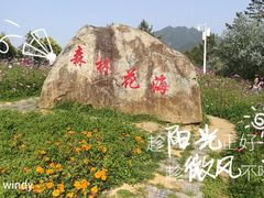 森林花海-广州市流溪河国家森林公园