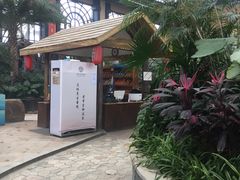 -郑州银基黄帝宫御温泉