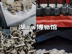 -湖北省博物馆