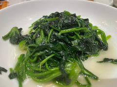 -荟廷·晶萃(陆家嘴尚悦湾店)