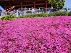 -古柏渡飞黄旅游区