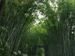 -海南热带野生动植物园