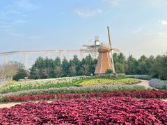 -金卉庄园