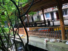 -藏龙百瀑风景区