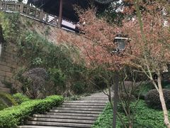 -乌山风景区