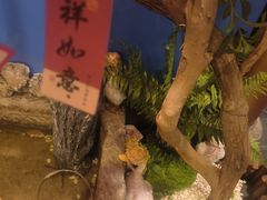 -上海第一八佰伴