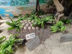 -延庆地质公园博物馆