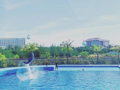-富国岛珍珠游乐园