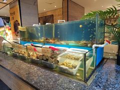 -悦鼎汇海鲜姿造