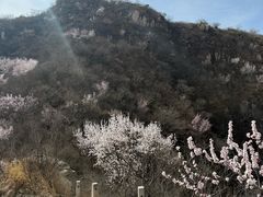 -北京凤凰岭