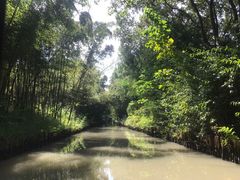 -同里国家湿地公园